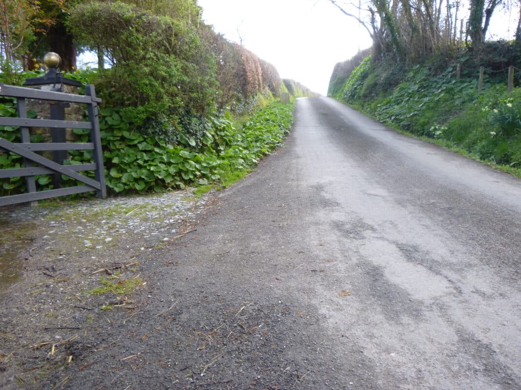 A narrow lane in Devon