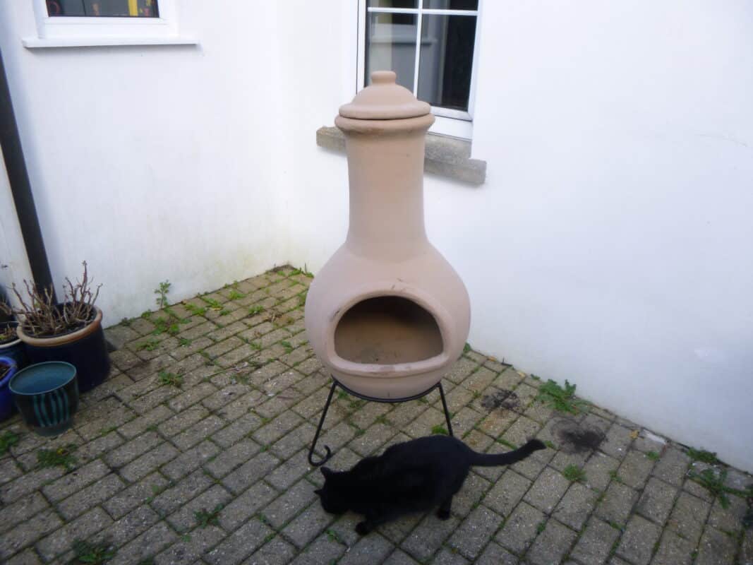 Chiminea, with cat for scale! 