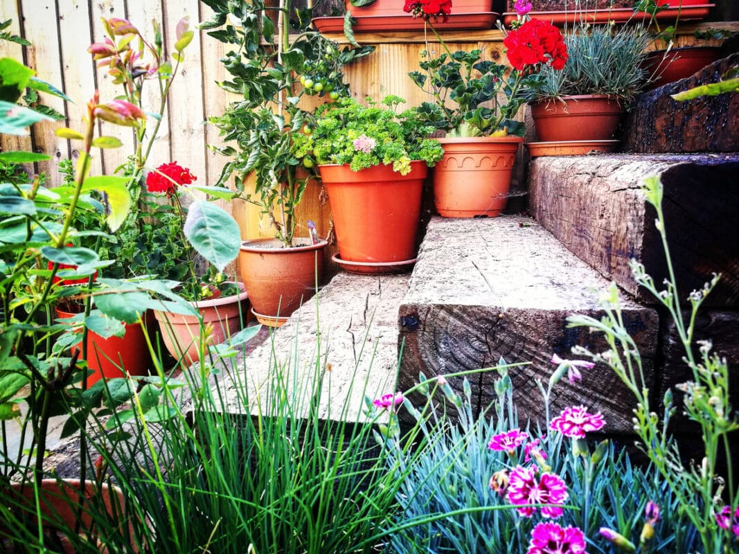 Beautiful garden flower arrangement and wooden steps