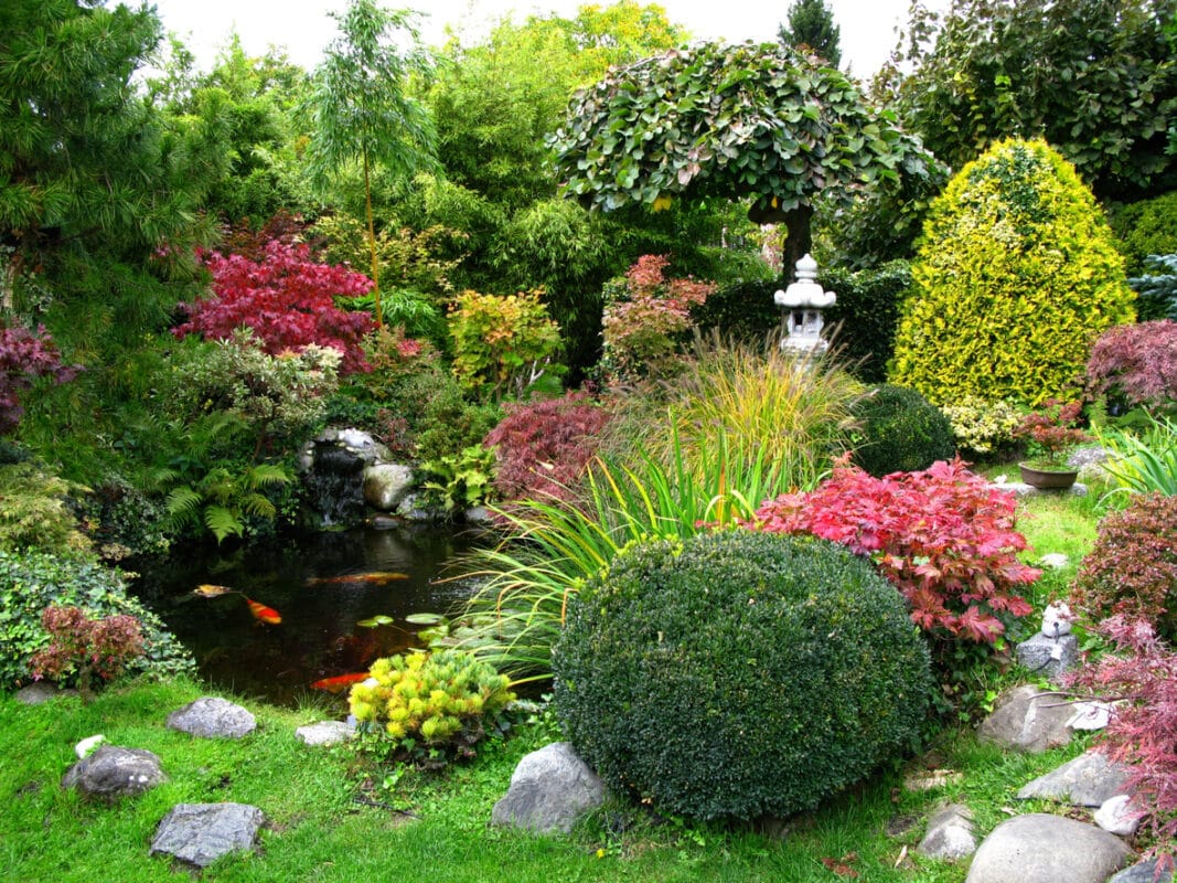Japanese garden with koi pond.